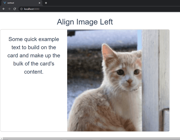 b-card img-right vue-bootstrap