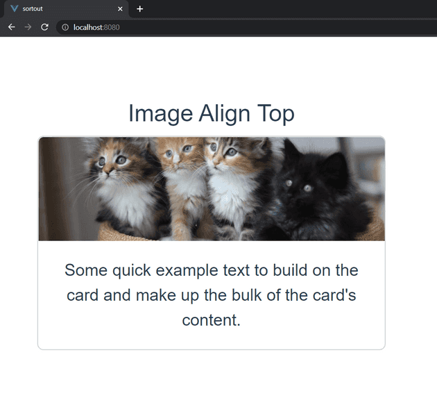 b-card img-top vue-bootstrap