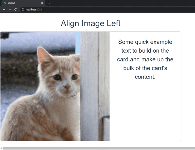 b-card img-left vue-bootstrap